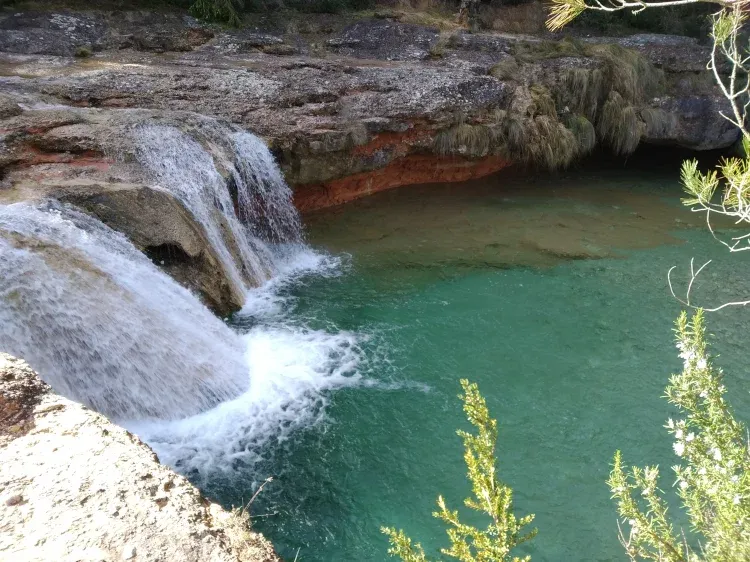 Imagen de Alrededores