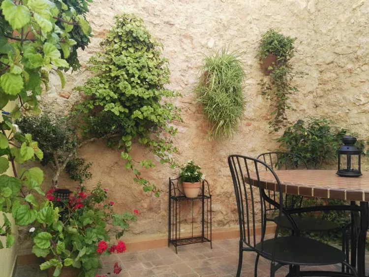 Imagen de Patio Interior