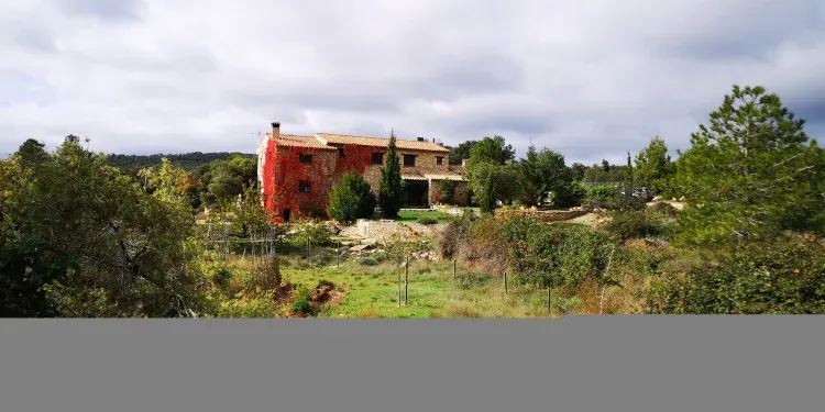 Imagen de Vista del Mas
