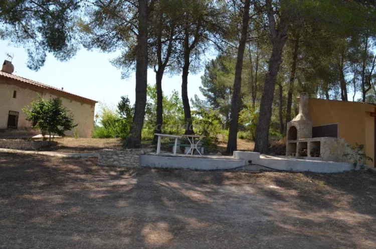 Imagen de Terraza