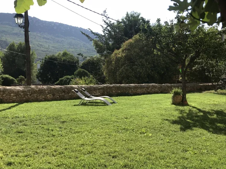 Imagen de Jardín