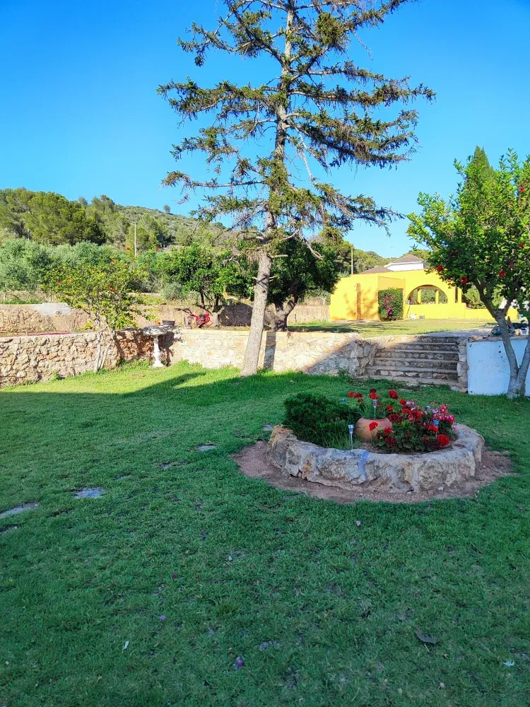 Imagen de Jardín