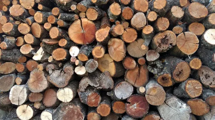 Imagen de Preparándonos para el invierno