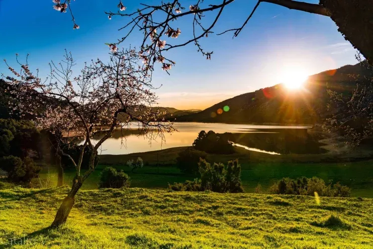 Imagen de Vista Emblase