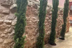 Imagen de Casas Miguela Florentín y Maria