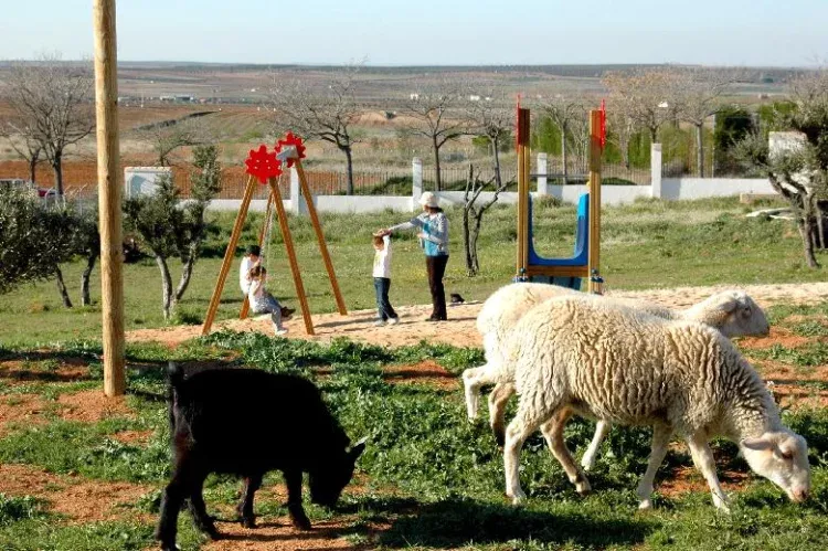Imagen de nuestra granja