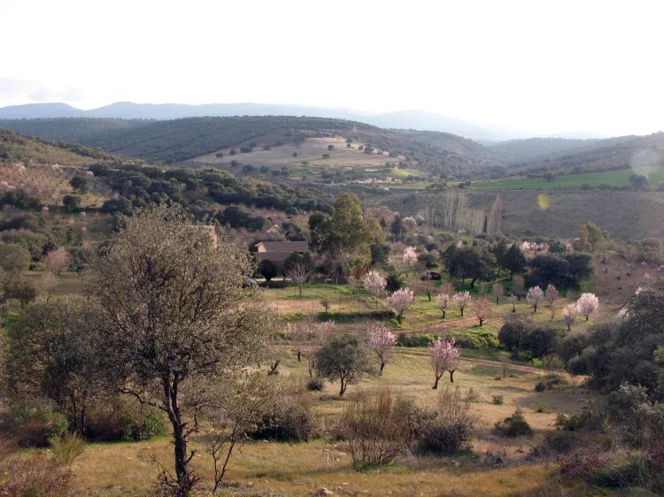 Imagen de Panorámica Valle los Ciervos