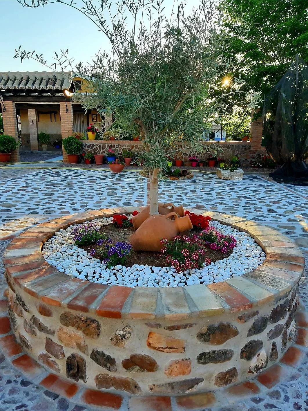 Imagen de Patio