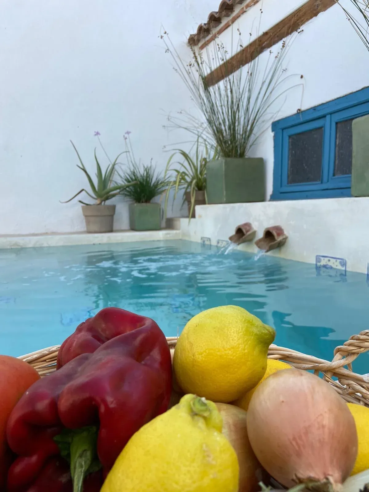 Imagen de Piscina | Alberca