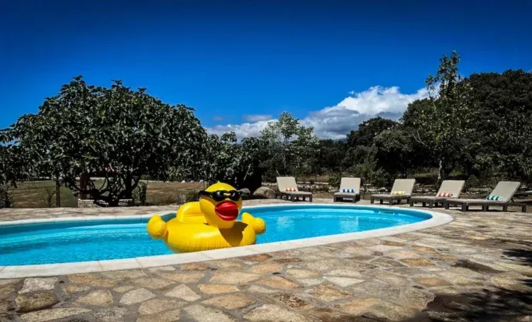 Imagen de Piscina