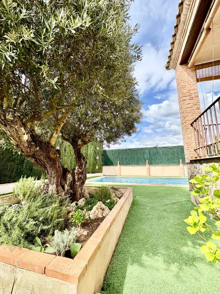 Imagen de Jardin
