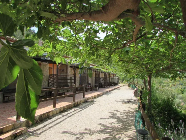 Imagen de vista delantera casas