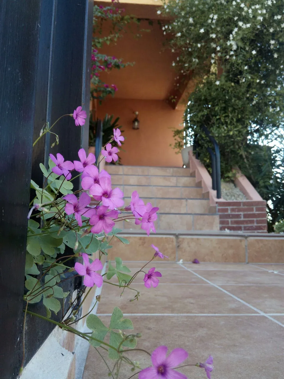 Imagen de Porche de entrada