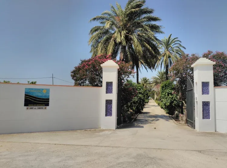 Imagen de Entrada
