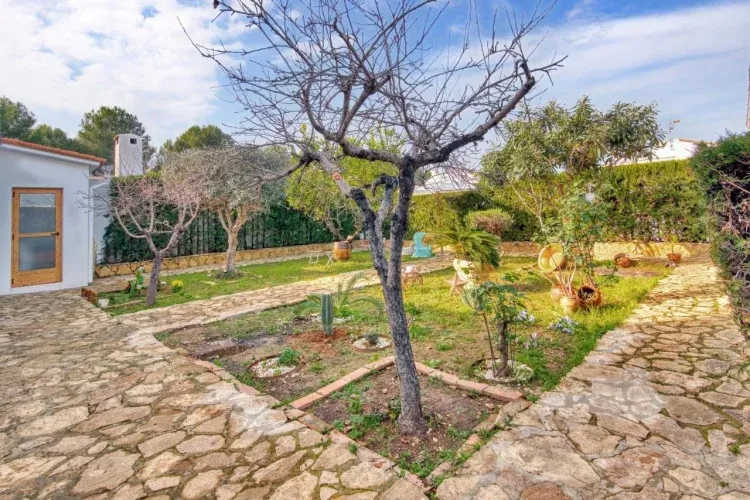 Imagen de Jardín