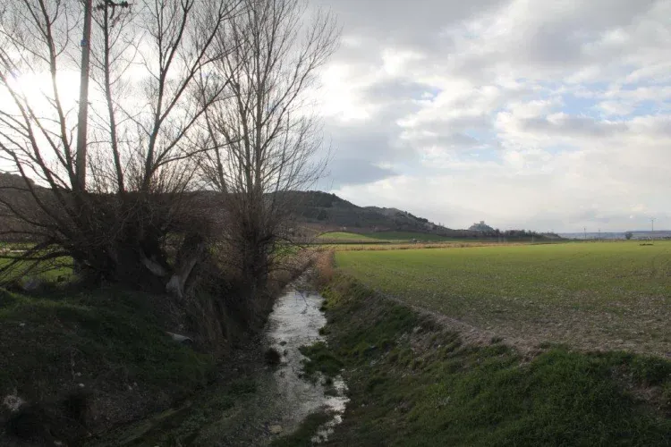 Imagen de Mélida