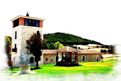 Imagen de Vista desde la carretera VA 203