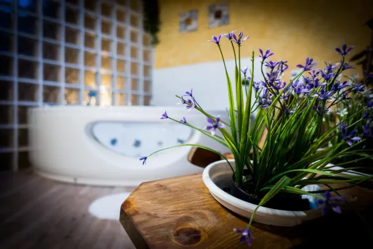 Imagen de jacuzzi