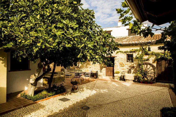 Imagen de Patio