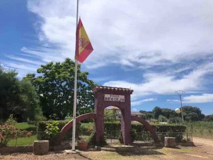Imagen de entrada