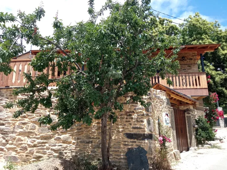 Imagen de Entrada