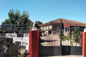Imagen de Acao