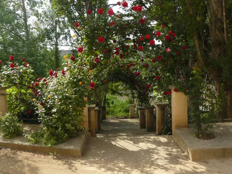 Imagen de Acceso jardines