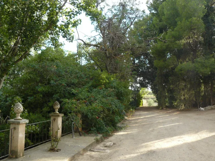 Imagen de Jardin