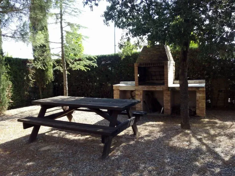Imagen de La barbacoa