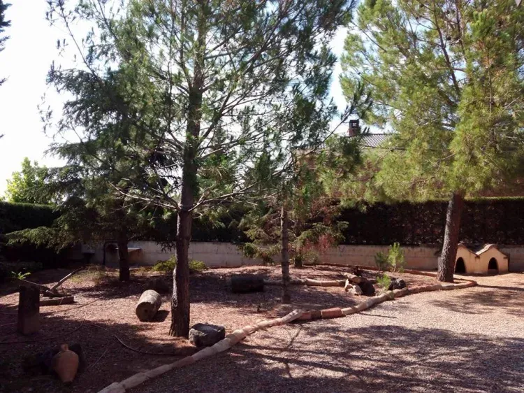 Imagen de Más jardín