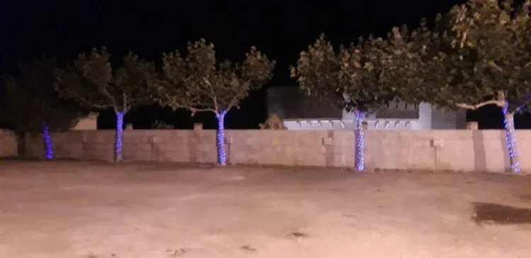 Imagen de Parking
