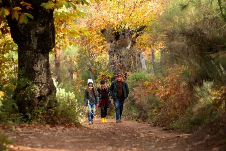 Imagen de Los bosques más bonitos de Andalucía que visitar este otoño