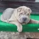 Imagen de Mágico