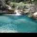 Imagen de Rosa
