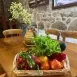 Imagen de Verduras de la huerta en verano
