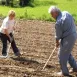 Imagen de Maruja y Manuel