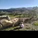 Imagen de Estrella Mulero