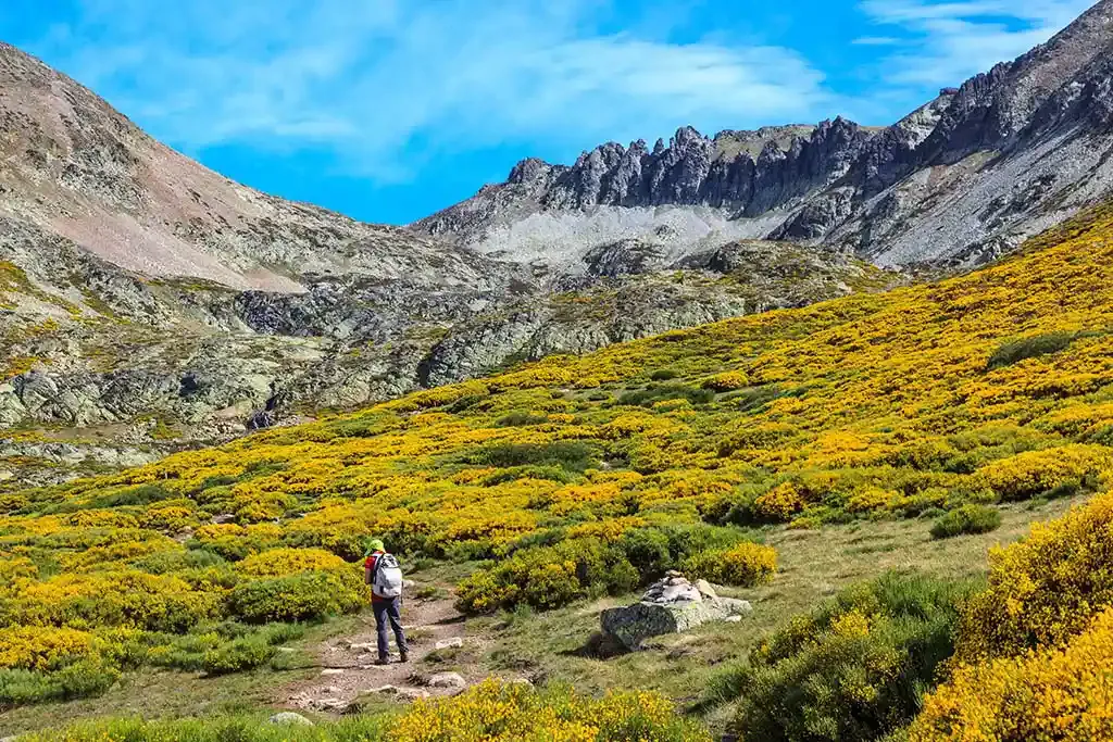 Imagen de Vacaciones en  Palencia
