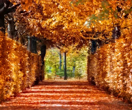 Imagen de Pilar (octubre)