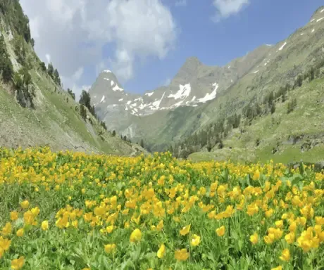 Imagen de Valle de Benasque