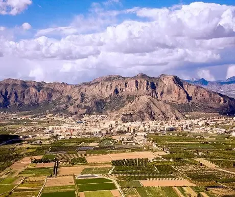 Imagen de Vega Baja del Segura