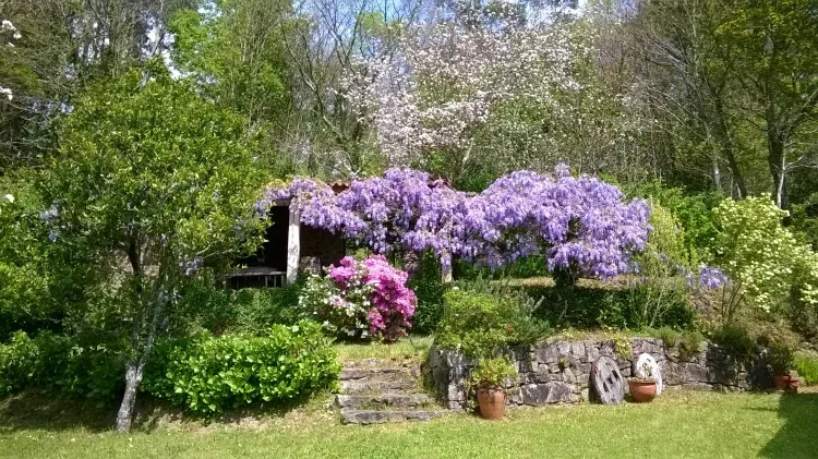 Imagen de Jardín