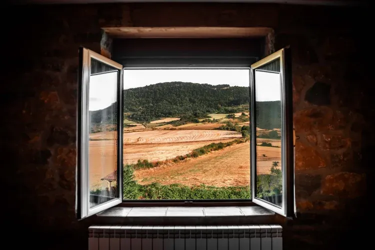 Imagen de Vistas 