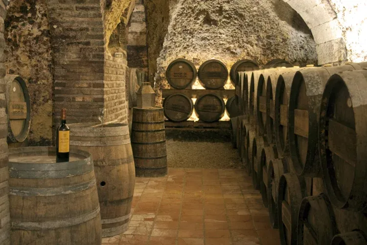 Imagen de Bodega