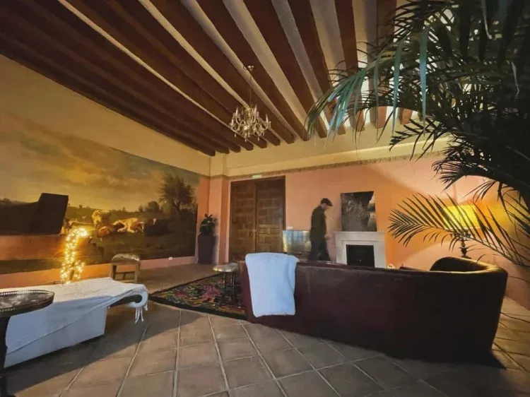 Imagen de Chimenea ecológica (bioetanol) en el salón