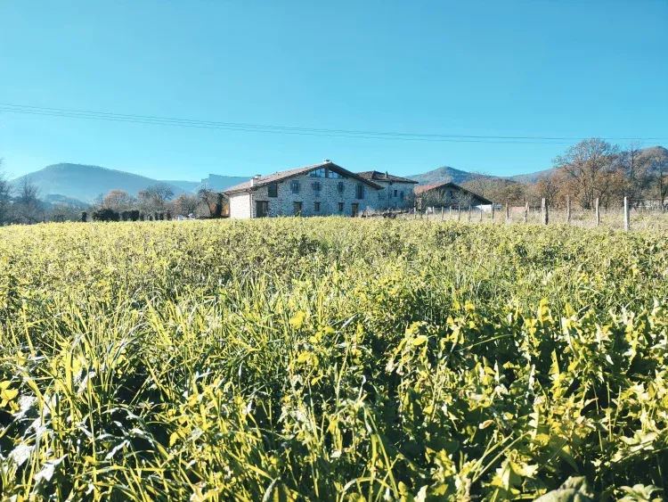 Imagen de Entorno Aldamoli Landetxea