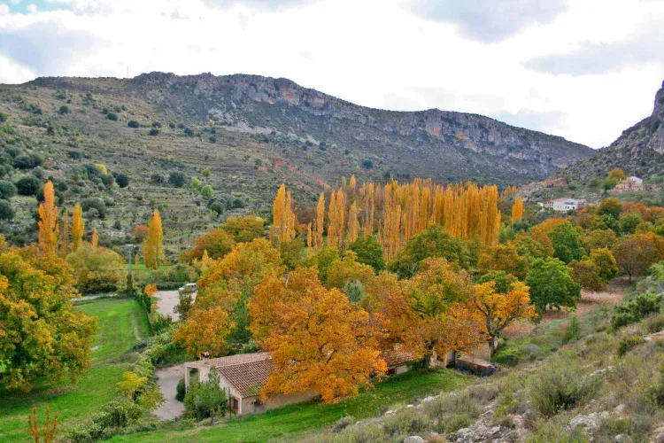 Imagen de complejo en otoño