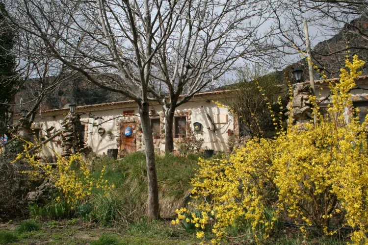 Imagen de comienzos de la primavera