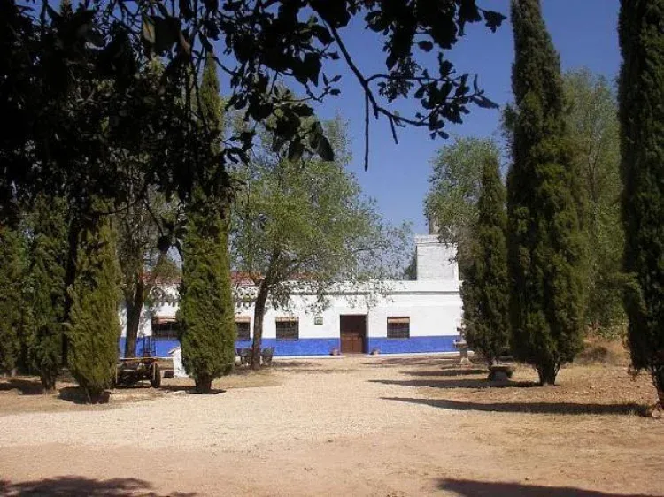 Imagen de Llegada a calixto