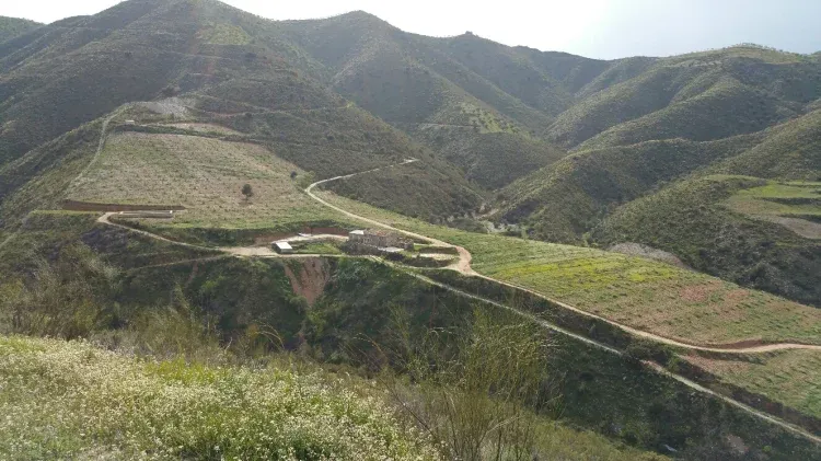 Imagen de Vista Cortijo